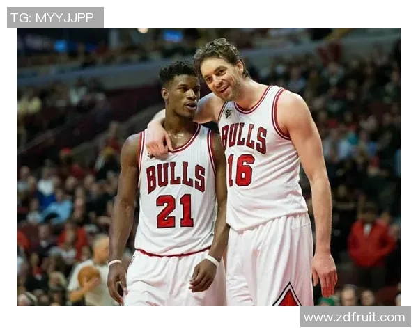 火箭与公牛精彩对决12月2日比赛录像回放全程回顾与分析