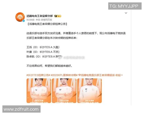 王者荣耀耐力排名更新TES战队表现创下历史新高